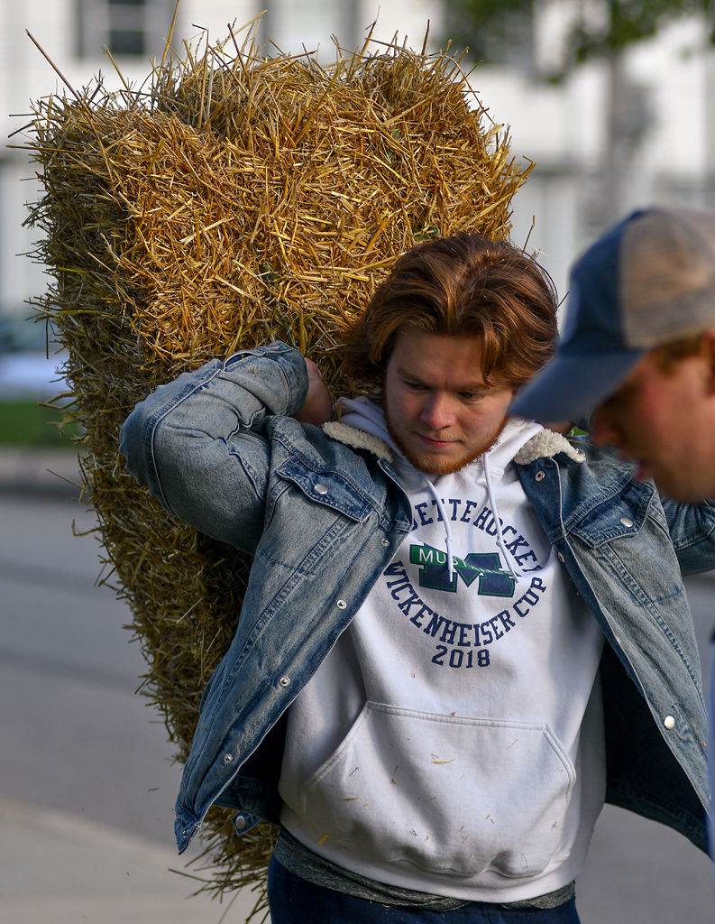 Daniel Fridman transfers a stack of hay